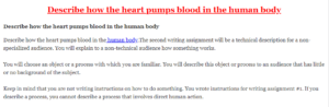 Describe how the heart pumps blood in the human body
