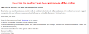 Describe the anatomy and basic physiology of the system