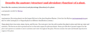 Describe the anatomy (structure) and physiology (function) of a plant.