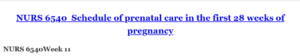 NURS 6540  Schedule of prenatal care in the first 28 weeks of pregnancy