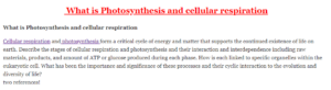 What is Photosynthesis and cellular respiration