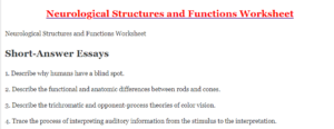 Neurological Structures and Functions Worksheet