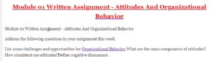 Module 01 Written Assignment - Attitudes And Organizational Behavior